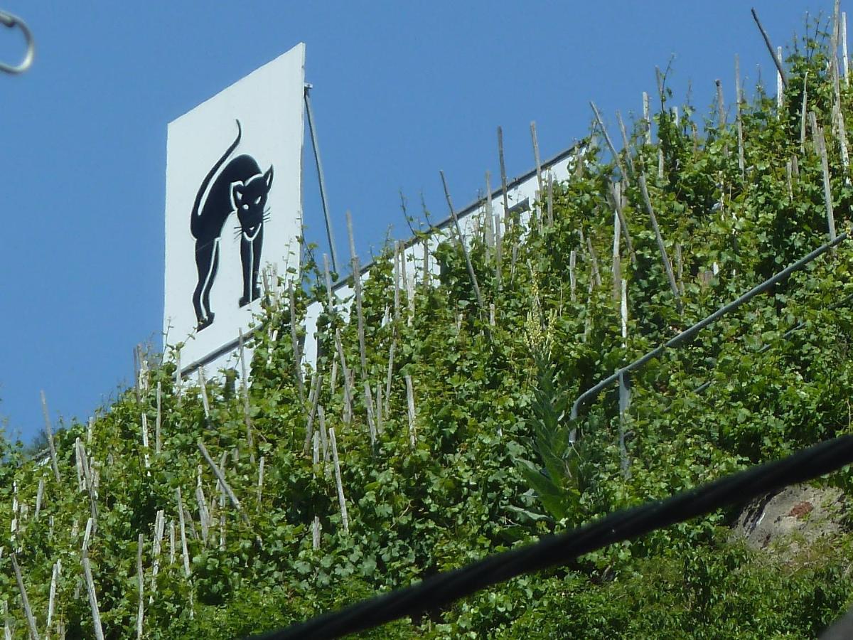 Roemerhaeuschen Zell Eksteriør billede
